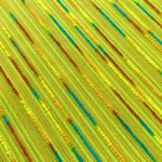 新潟市江南区文化会館 音楽演劇ホール